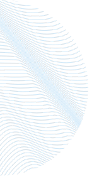 Vector