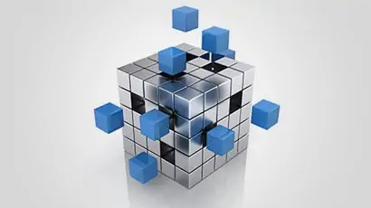 Widgetization: A New Paradigm