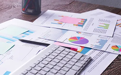 An Apex Web Portal for Syndication of Document Storages and More