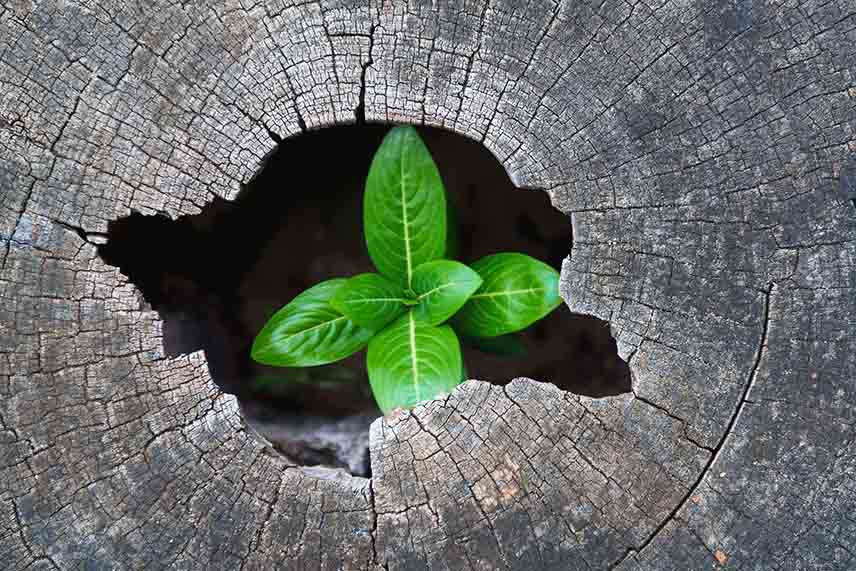 How to Revive Aging eLearning Content with Tech Debt Strategies