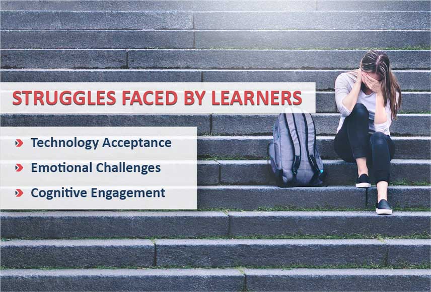 Struggles Faced by Learners