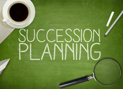 Succession planning analytics: Leveraging HR data to ensure stability in the organization