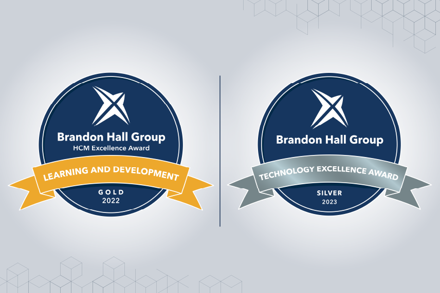Gold Award for Custom Game-Based Learning Program Development