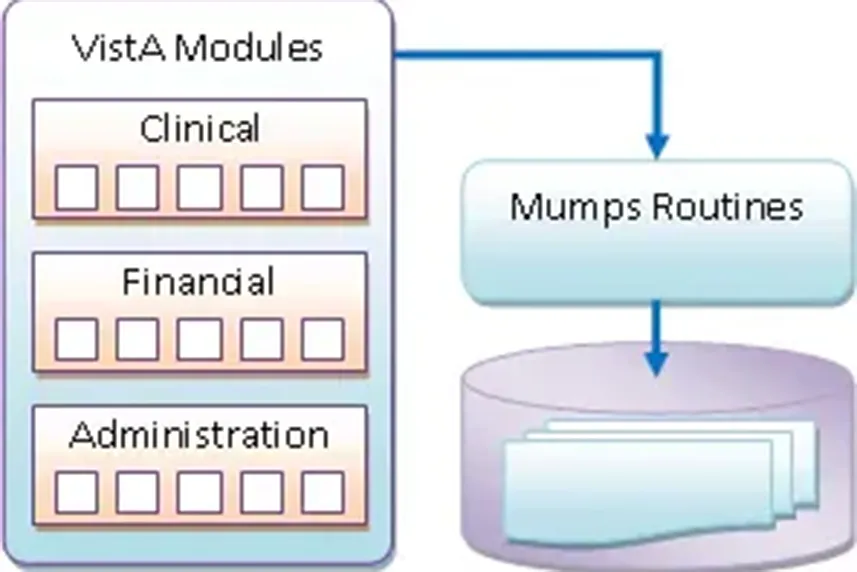 vista-module-architectures