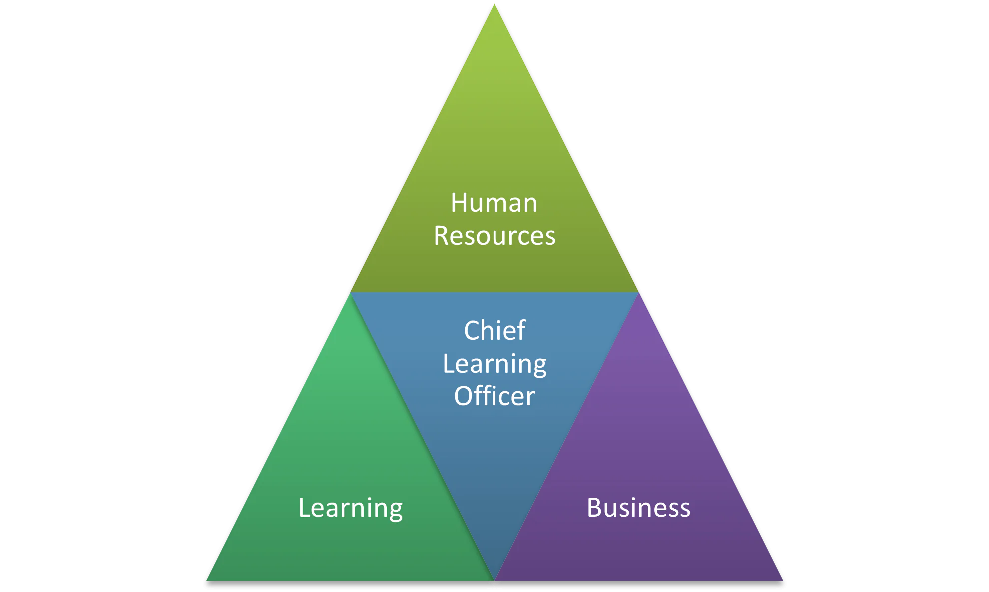 Chief Learning Officer as the Bridge