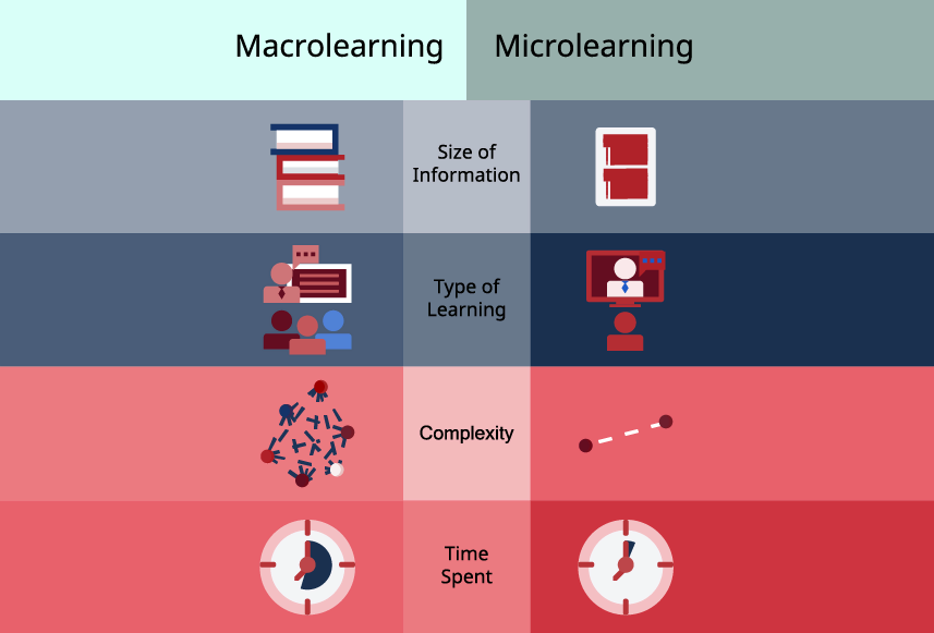 Comparison of macrolearning and microlearning vector