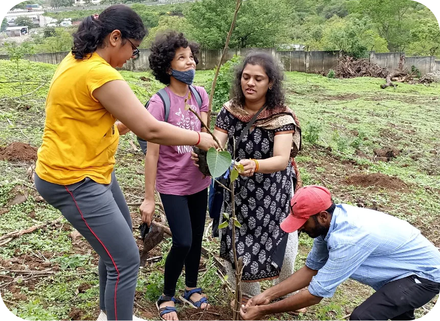 Tree plantation drive2